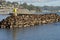 Sea Lions on rocks in Newport Oregon.