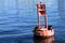 Sea lions sit on a bouy