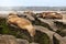 Sea Lions sleeping on rocky beach