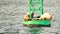 Sea Lions Slumber Ocean Buoy Resurrection Bay Sea Wildlife