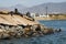 Sea Lions Sunbathing in Ensenada, Mexico