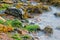 Sea Meets Land On Cape Breton In Nova Scotia, Canada