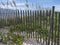 Sea Oats, Flowers, and Wind Fences on the Beach