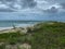 Sea oats  overlooking the beach and ocean on a beautiful cloudy day along the shoreline