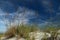 Sea Oats, Sand, and Sky in Neptune Beach, Florida