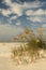 Sea Oats on a White Sand Beach in Florida on a Beautiful Cloudy