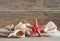 Sea objects - shells, sea stars on wooden planks