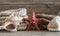 Sea objects - shells, sea stars on wooden planks