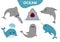 Sea ocean animal fauna icon set. Blue whale, sawshark, dolphin, narwhal, seal. Saw shark fish. Water inhabitant. Cute cartoon baby