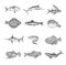 Sea and ocean isolated fish vector sketches