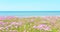 Sea ocean meeting sky and coloful pink thrift flowers beautiful blue sky Spring Summer scene