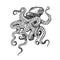 Sea octopus. Engraved hand drawn in old sketch, vintage creature. Nautical or marine, monster. Animal in the ocean