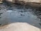 Sea otter swimming in water in cage with rocks