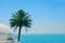 Sea, palm tree and round Arab house, copy space background. Sidi Bou Said, Tunisia, Africa