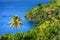Sea and palm trees in Saint Vincent and the Grenadines, beautiful exotic