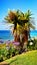 Sea Palms Coast Flowers, Mobile Screen Wallpaper