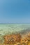 Sea panorama with corals and smooth stone