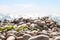 Sea pebbles with dried seaweed against a blurred shiny sea