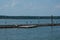 Sea pier with seagulls, blue sea and sky