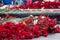 Sea of red carnations at the memorial to fallen soldiers in the world war II