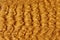 Sea ripple patterns over golden sand