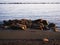 Sea rocks on the beach, sunset, endless sea