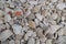 Sea-rolled gray and beige pieces of shell rock and empty rapan shells, background texture