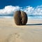 Sea\'s coconuts (coco de mer) on beach at Seychelles