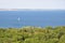 Sea with sailboats  blue sky  forest on the shore