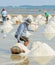 Sea salt harvesting in Thailand