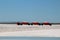 Sea salt mining in the salt flats of the lagoon at Ojo de Liebre, Baja California Sur, Mexico