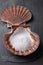 Sea salt in scallop sea shell on black rock