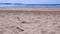 Sea sand beach with stormy waves and pier view at sunny windy day.