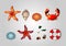 Sea set of lifebuoys, shells, crab, starfish and sea pebbles