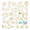 Sea set. Stingray, jellyfish, seaweed, fish, starfish, jellyfish, squid, crab, sea horse. Vector illustration. on white b