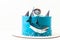 Sea and shark themed cake with blue cream cheese frosting on the white background. Diver in a mask. Snorkelling among the sharks.