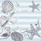 Sea shell background 5