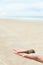 Sea shell on child`s hand, beach sand background.