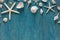 Sea Shell decoration on wooden blue flat background. Free space