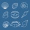 Sea shell outline icons on blue