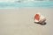 Sea shell with sand and waves as background