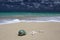 Sea Shell Starfish Sandy Beach Turquoise Ocean