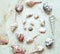 Sea Shells arranged in circle in sand.  Top View