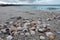 Sea shells at the beach