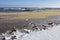 Sea shells on the beach by the Baltic Sea. Beautiful winter landscape