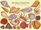 Sea shells collections icon, time to travel advertisement banner cartoon vector illustration. Explore ocean flora fauna