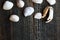 Sea shells crab claw on wooden background