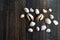 Sea shells crab claw on wooden background