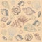 Sea shells. Hand drawn marine elements. Sketch style aquarium habitats, ocean mollusk collection, tropical fauna