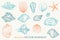 Sea shells hand drawn vector set